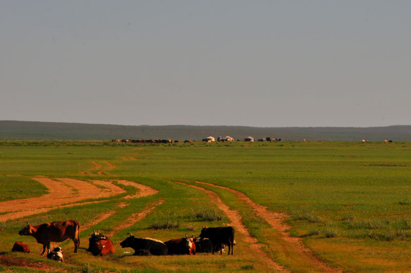 Mongolia